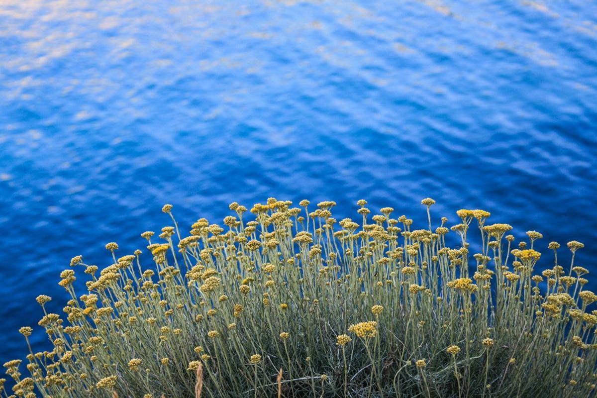 Dandy Lejlighed Povljana Eksteriør billede